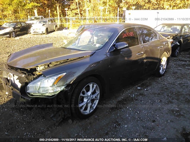 1N4AA5AP2CC867497 - 2012 NISSAN MAXIMA S/SV GRAY photo 2