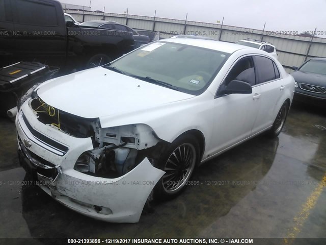 1G1ZG57B69F140323 - 2009 CHEVROLET MALIBU LS WHITE photo 2