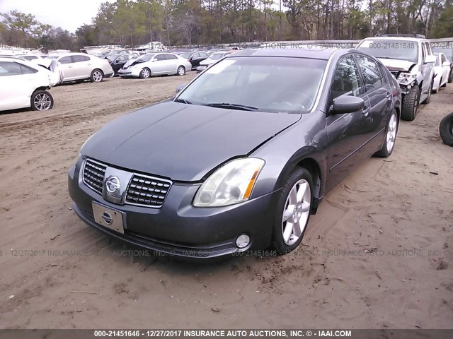 1N4BA41E56C805965 - 2006 NISSAN MAXIMA SE/SL GRAY photo 2