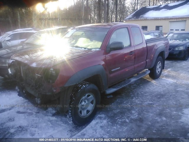 5TEUU42N48Z486247 - 2008 TOYOTA TACOMA ACCESS CAB წითელი ფოტო 2