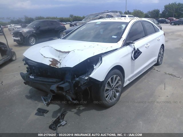 5NPE34AF1FH043409 - 2015 HYUNDAI SONATA SPORT/LIMITED WHITE photo 2