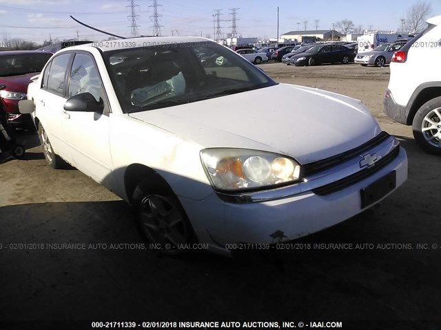 1G1ZT54865F176768 - 2005 CHEVROLET MALIBU LS Ақ фото 1