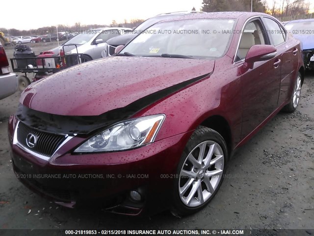 JTHCF5C21C5054726 - 2012 LEXUS IS 250 RED photo 2