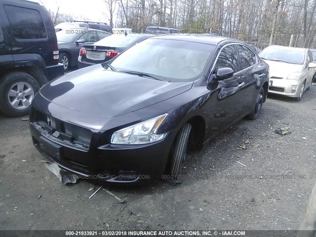 1N4AA5AP0EC445411 - 2014 NISSAN MAXIMA S/SV PURPLE photo 2