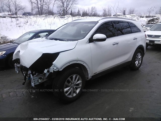 5XYPGDA37HG244647 - 2017 KIA SORENTO LX/L WHITE photo 2