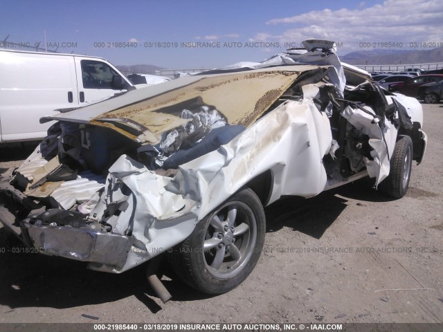 1GCEC14J98Z236398 - 2008 CHEVROLET SILVERADO C1500 WHITE photo 4