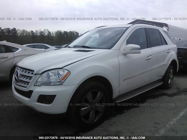 4JGBB8GB4BA703408 - 2011 MERCEDES-BENZ ML 350 4MATIC WHITE photo 2