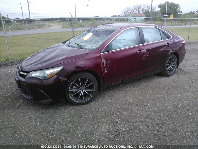4T1BF1FK9GU571331 - 2016 TOYOTA CAMRY LE/XLE/SE/XSE MAROON photo 2