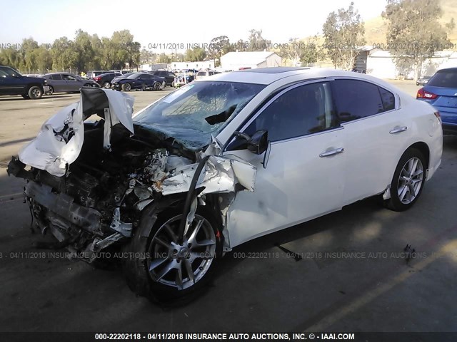 1N4AA5AP4AC837947 - 2010 NISSAN MAXIMA S/SV WHITE photo 2