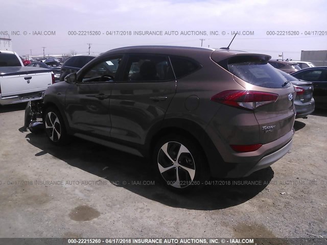 KM8J33A24HU409891 - 2017 HYUNDAI TUCSON LIMITED/SPORT AND ECO/SE BROWN photo 3