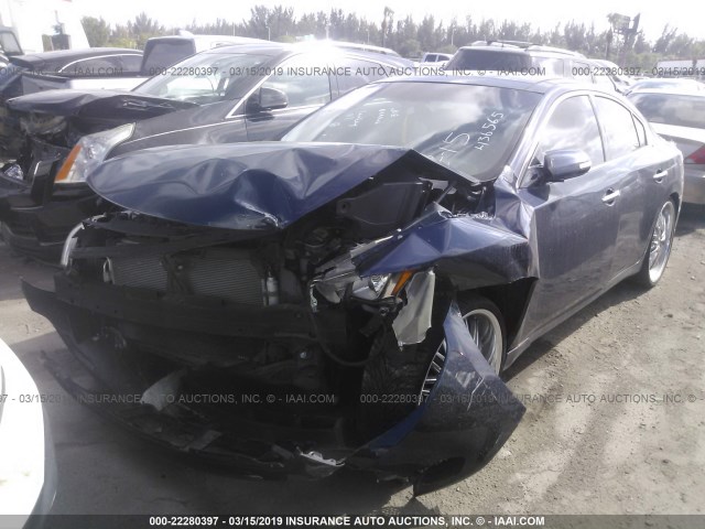 1N4AA5AP4EC436565 - 2014 NISSAN MAXIMA S/SV BLUE photo 2