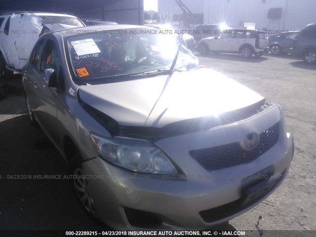 1NXBU4EE8AZ332637 - 2010 TOYOTA COROLLA S/LE/XLE GOLD photo 1