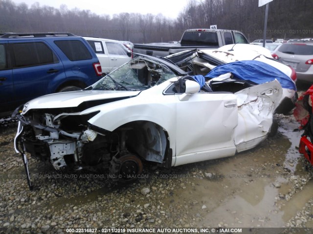 4T3BK3BB0CU071539 - 2012 TOYOTA VENZA LE/XLE/LIMITED WHITE photo 2