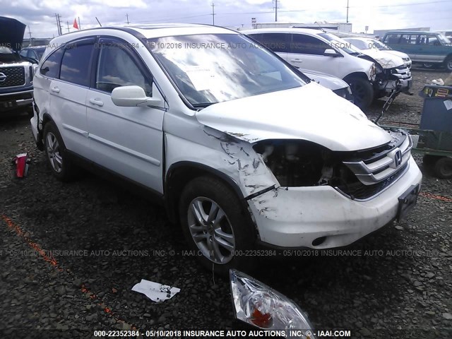 5J6RE4H72AL055531 - 2010 HONDA CR-V EXL WHITE photo 1