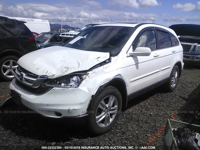 5J6RE4H72AL055531 - 2010 HONDA CR-V EXL WHITE photo 2