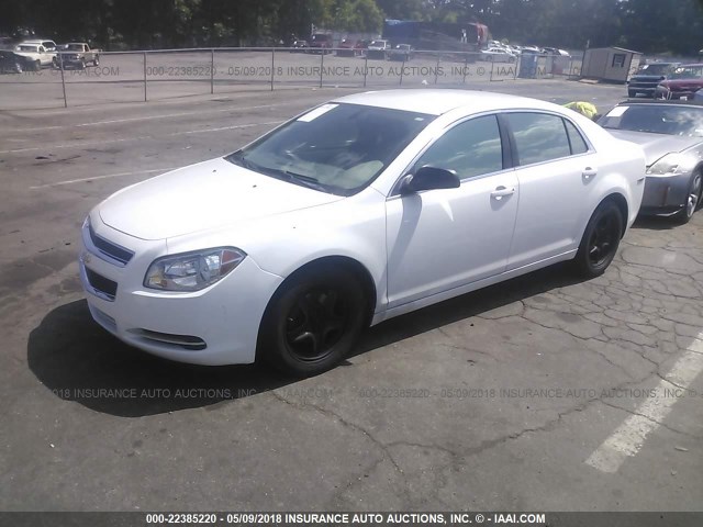 1G1ZG57B59F195281 - 2009 CHEVROLET MALIBU LS 白色 照片 2