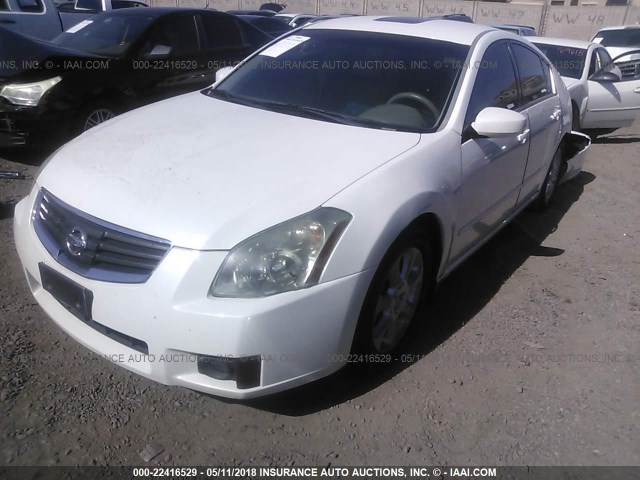 1N4BA41E48C837891 - 2008 NISSAN MAXIMA SE/SL WHITE photo 2