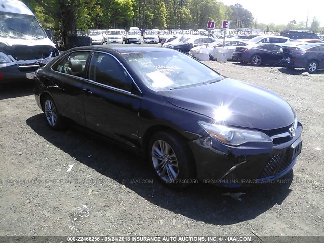 4T1BF1FK0GU182626 - 2016 TOYOTA CAMRY LE/XLE/SE/XSE BLACK photo 1