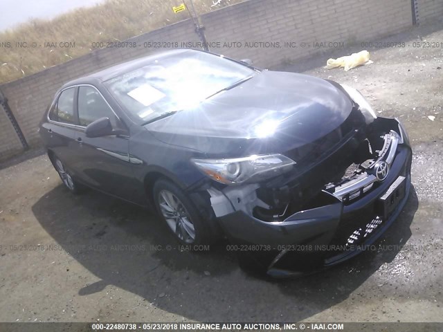 4T1BF1FK2GU194762 - 2016 TOYOTA CAMRY LE/XLE/SE/XSE BLUE photo 1