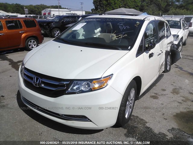 5FNRL5H67GB146427 - 2016 HONDA ODYSSEY EXL WHITE photo 2