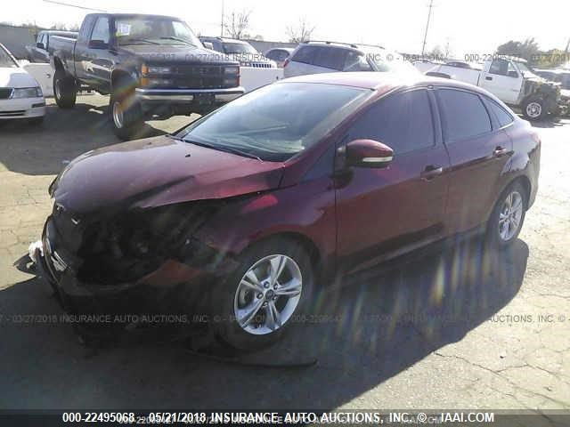 1FADP3F21DL213282 - 2013 FORD FOCUS SE RED photo 2