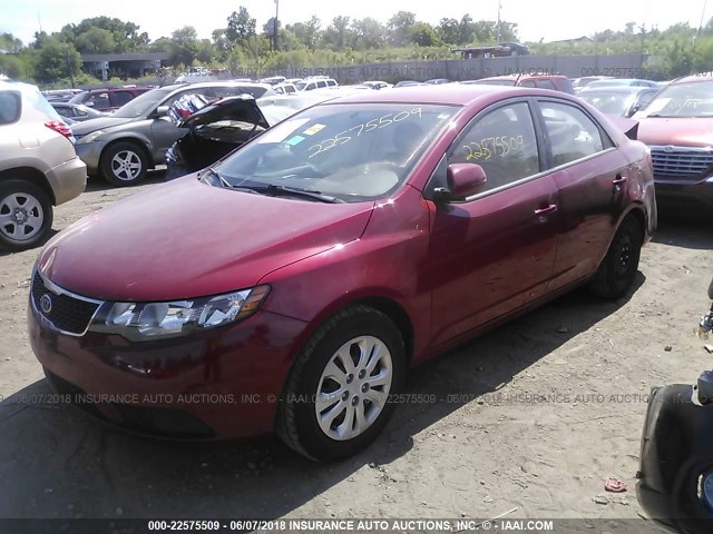 KNAFU4A24D5716153 - 2013 KIA FORTE EX RED photo 2