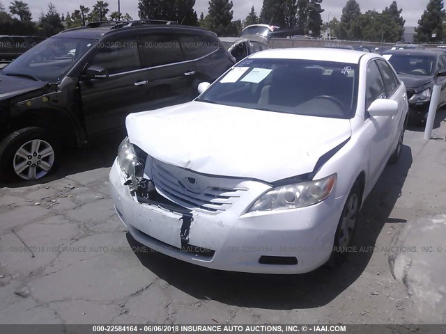 4T1BE46K09U909268 - 2009 TOYOTA CAMRY SE/LE/XLE WHITE photo 2