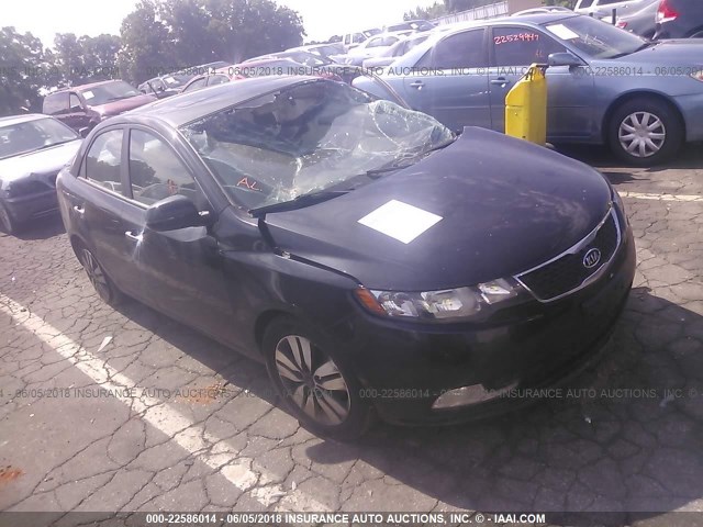 KNAFU4A27D5700951 - 2013 KIA FORTE EX BLACK photo 1