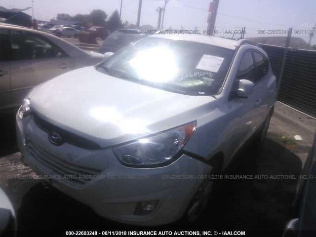 KM8JU3AC1DU664594 - 2013 HYUNDAI TUCSON GLS/LIMITED თეთრი ფოტო 2