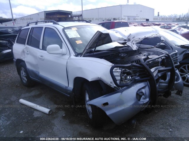 KM8SB12B84U829061 - 2004 HYUNDAI SANTA FE GL WHITE photo 1