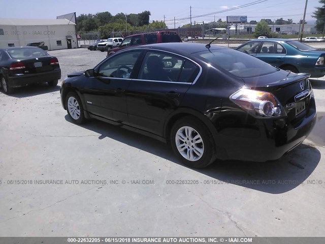 1N4CL2AP9AC148391 - 2010 NISSAN ALTIMA HYBRID BLACK photo 3