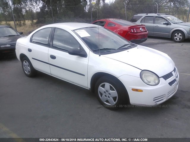 1B3ES26C33D111346 - 2003 DODGE NEON SE WHITE photo 1