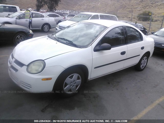 1B3ES26C33D111346 - 2003 DODGE NEON SE WHITE photo 2