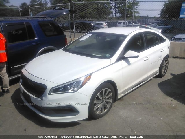 5NPE34AF9GH422613 - 2016 HYUNDAI SONATA SPORT/LIMITED WHITE photo 2