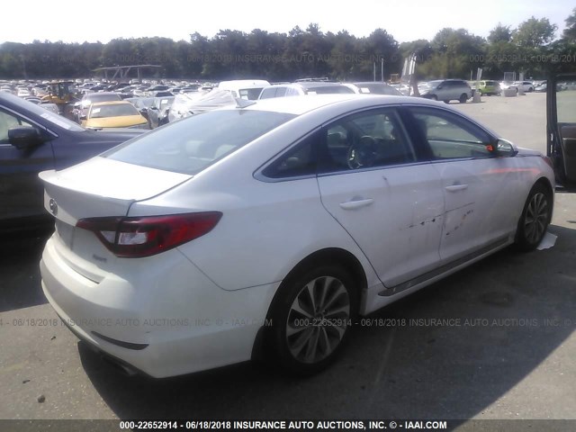 5NPE34AF9GH422613 - 2016 HYUNDAI SONATA SPORT/LIMITED WHITE photo 4