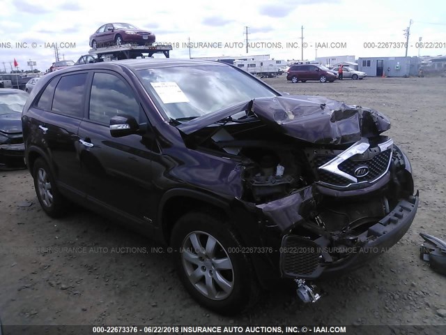 5XYKTCA15BG178878 - 2011 KIA SORENTO LX PURPLE photo 1