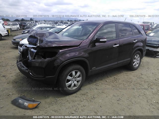 5XYKTCA15BG178878 - 2011 KIA SORENTO LX PURPLE photo 2