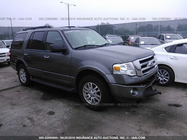 1FMJU1J53BEF46866 - 2011 FORD EXPEDITION XLT/KING RANCH GRAY photo 1