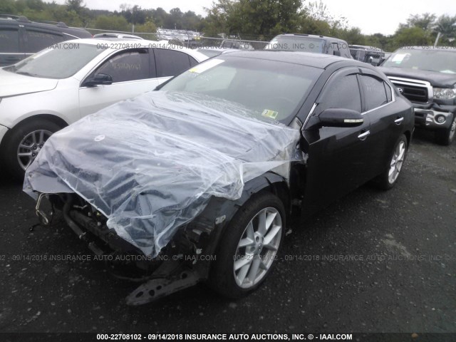 1N4AA51E99C854575 - 2009 NISSAN MAXIMA S/SV BLACK photo 2