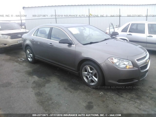 1G1ZB5E1XBF285492 - 2011 CHEVROLET MALIBU LS თაფლისფერი ფოტო 1