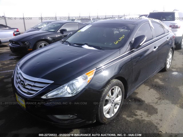 5NPEC4AC8CH429844 - 2012 HYUNDAI SONATA SE/LIMITED BLACK photo 2