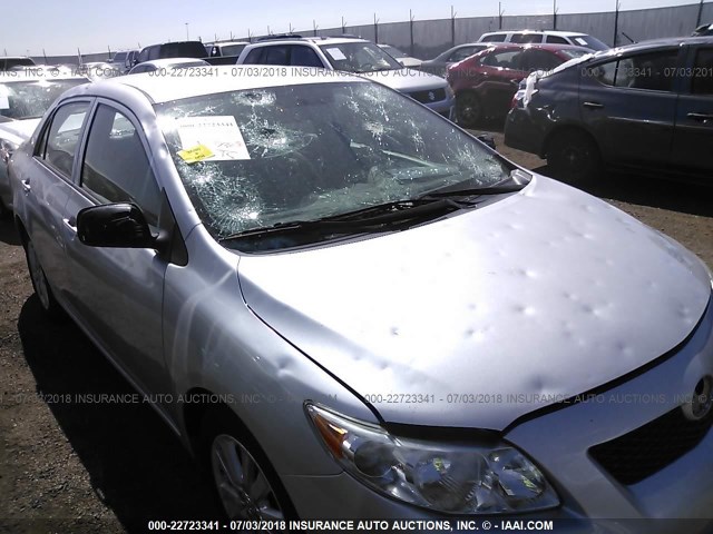 1NXBU4EE5AZ256438 - 2010 TOYOTA COROLLA S/LE/XLE SILVER photo 6