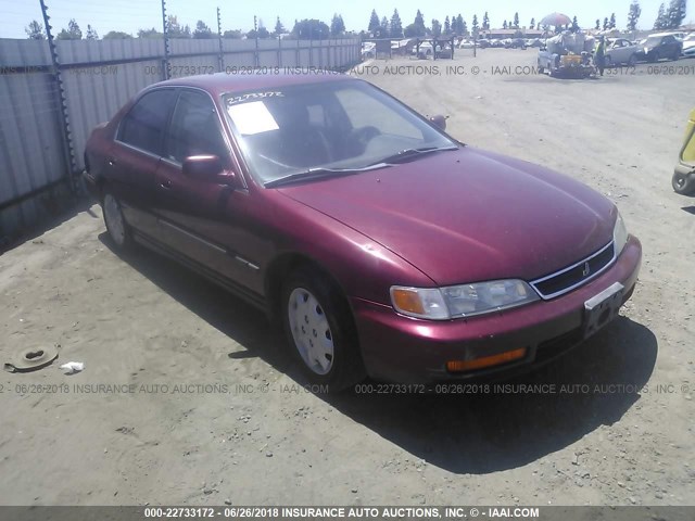 1HGCD5636TA010273 - 1996 HONDA ACCORD LX/EX MAROON photo 1