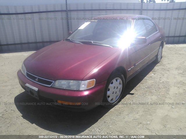 1HGCD5636TA010273 - 1996 HONDA ACCORD LX/EX MAROON photo 2