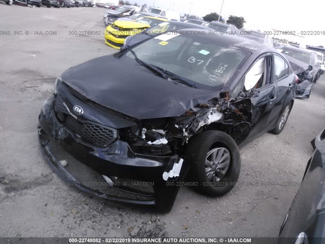 KNAFX4A69G5471882 - 2016 KIA FORTE LX BLACK photo 2