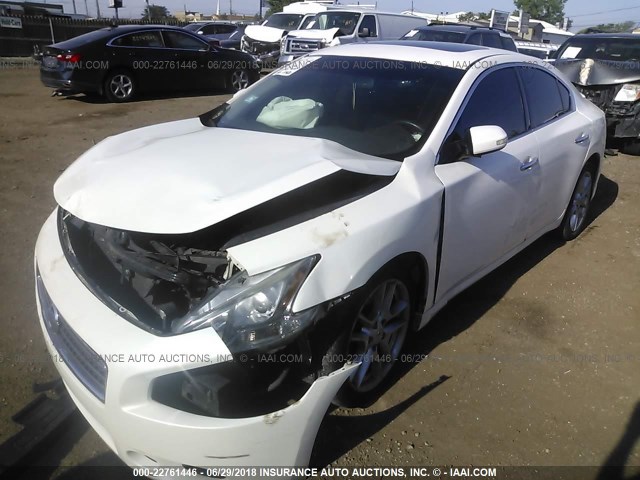 1N4AA5AP3AC829838 - 2010 NISSAN MAXIMA S/SV WHITE photo 2