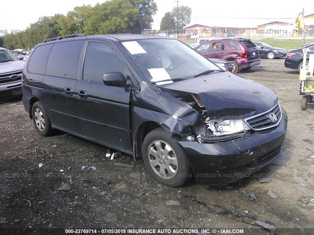 5FNRL18974B047542 - 2004 HONDA ODYSSEY EXL BLACK photo 1