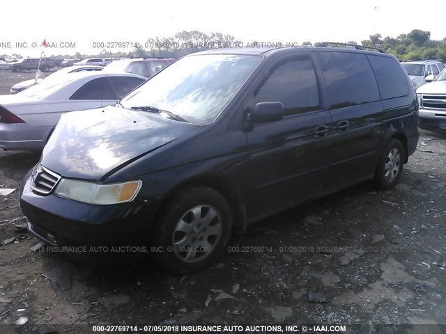 5FNRL18974B047542 - 2004 HONDA ODYSSEY EXL BLACK photo 2