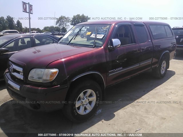 5TBRT34176S480703 - 2006 TOYOTA TUNDRA ACCESS CAB SR5 MAROON photo 2