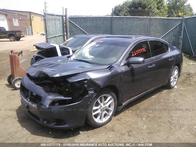 1N4AA51E99C850705 - 2009 NISSAN MAXIMA S/SV GRAY photo 2